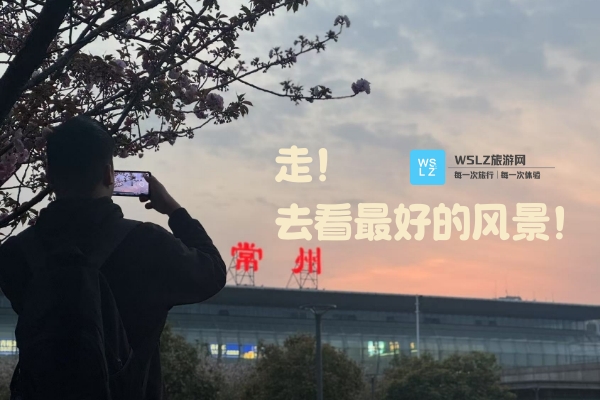 关于本站